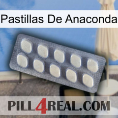 Anaconda Pills 08